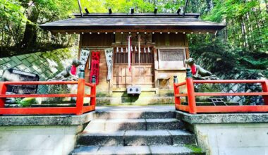 A rare wolf shrine in Saitama, Japan. It’s hidden away on a mountain and needs a little hiking to find.