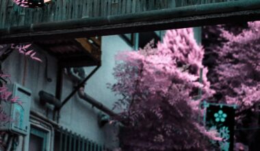 Tokyo temple in infrared