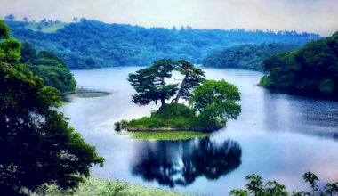 A small pine covered island in a lake in rural Tottori Prefecture [OC]