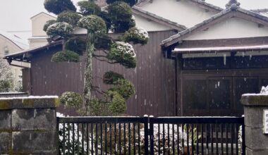 Light snowfall in Suginami, Tokyo[2020]