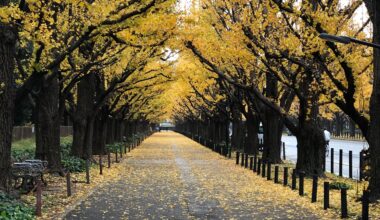 Near baseball court in Sendagaya (this was a while ago)