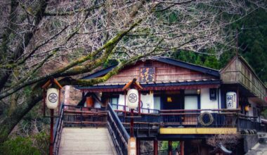 A soba restaurant in the Iya Valley, Tokushima Prefecture [OC]