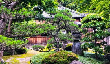 A small, well tended garden in the samurai district of Saiki, Oita Prefecture [OC]