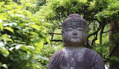 Under Buddha's watchful eye at Ryōan-ji, Kyoto.