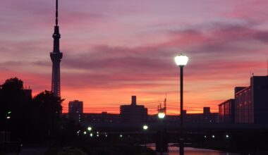 Tokyo in the Twilight [Kameido Central Park]