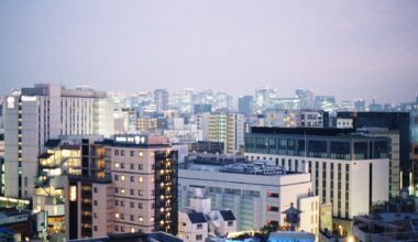 Tokyo Skyline at Dusk (OC)