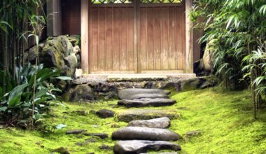 Stone path through the moss to a gate at Gio-ji Temple, Kyoto [OC]