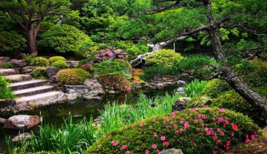 View of Yuushien Garden, Matsue, Shimane Prefecture [OC]