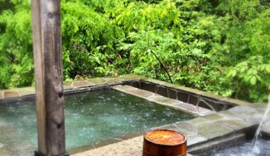 Rotenburo outdoor bath surrounded by greenery on a rainy day in Kakunodate, Akita Prefecture [OC]