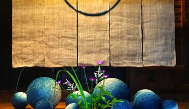 Display in the entrance of the Little Indigo Museum, Kayabuki no Sato, Miyama, Kyoto Prefecture [OC]