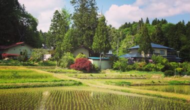 Another bucolic view of rural Iwate Prefecture. [OC]