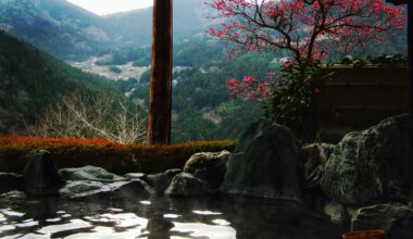 Rotenburo outdoor bath with a view of the Iya Valley below. Tokushima Prefecture. [OC]