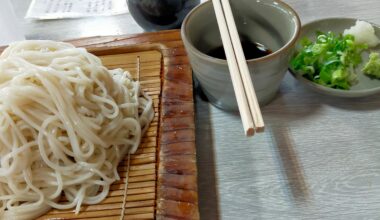 Large serving of Zaru soba