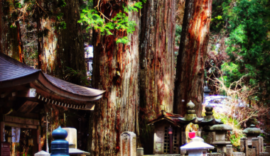 Cedar trees and mausoleum at Okunoin Cemetery, Mt Koya, Wakayama Prefecture [OC]