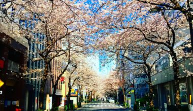 Thinking about spring in Tokyo