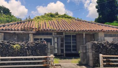 Old Okinawan house with furry roof.