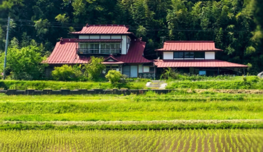 Ricefields and countryside home in rural Iwate Prefecture [OC]