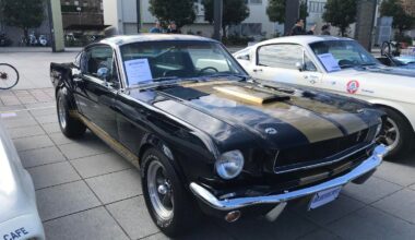 1966 Shelby 350H at Yamashita Promenade, Yokohama(1170x884)