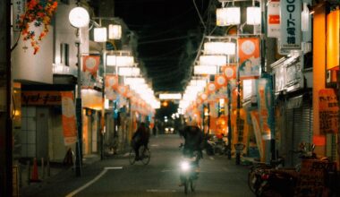 [OC] Street near Shiinamachi Station, Tokyo