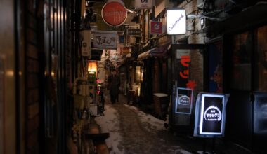 Golden Gai during the blizzard last winter