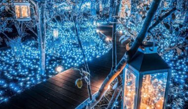 Fairy road in Japan🖤💙