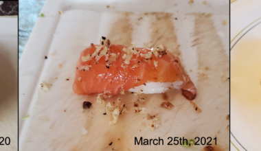 My 2 years progress of just making sushi casually at home.