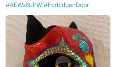 “NJPW star” possibly confirmed for long-awaited return at Forbidden Door?