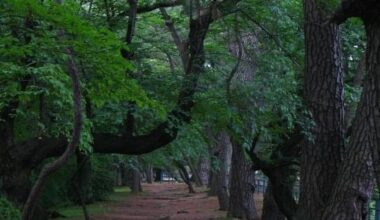 Nagoya castle grounds, 2010