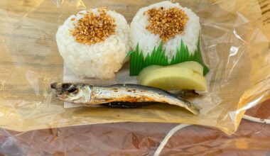 The little lunch I had before riding the Shinkansen