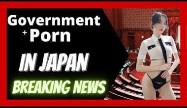 The Japanese Government and Porn