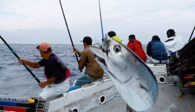 Japanese sushi experts ‘extremely worried’ about future of cuisine due to climate crisis