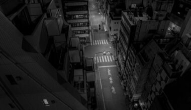 Walking Alone in Tokyo Canyon [OC] [#3453]