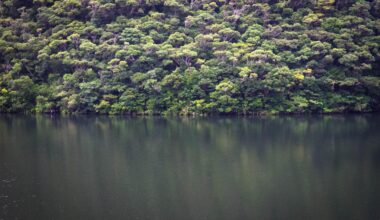 Dusk at the reservoir (Amami Ōshima) [OC]