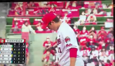 A normal baseball fan, Tetsuya Naito, watching a baseball match between Yokohama DeNA BayStars and Hiroshima Toyo Carp.