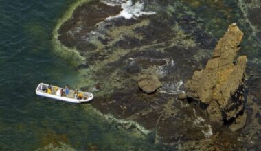 Object ruled out as sunken Hokkaido boat after diver checks