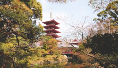 A selection of my photos mostly from Tokyo and Kyoto in 2016 that I've finally had framed for my living room. I can't wait to go back. [OC]