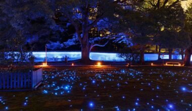 Kyoto: Autumn Night Illuminations at Temples and Shrines (Mid-Nov to early Dec)