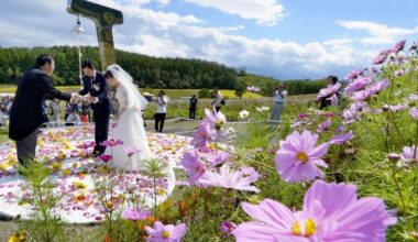 Over 150,000 couples give up wedding due to pandemic: study