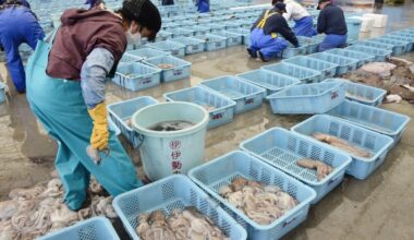 South Korea to keep import ban on Japan seafood due to Fukushima concern