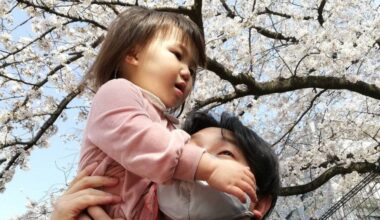 Japanese companies tasked with encouraging paternity leave under new law