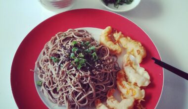 My lunch today: Zaru soba and tempura shrimps