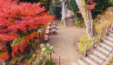 Takao Mountain~ November 2017. Autumn foliage never ceases to take my breath away.