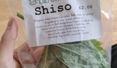 shiso grown in the UK found in my local veg market!