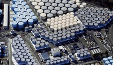 No safety flaws found so far in Fukushima water discharge plan: IAEA