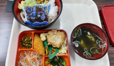 Quite hot in Japan, so Cold UDON is refreshing and delicious. Set meal 250 Yen as always.