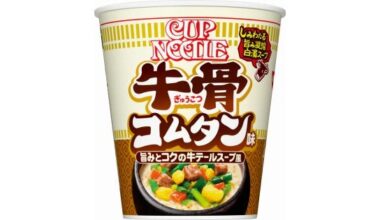 Cup noodle Korean beef bone soup