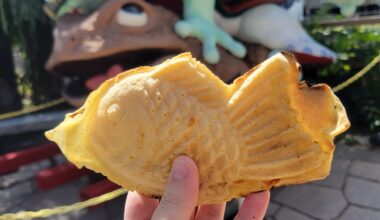 There is nothing better than taiyaki in the morning!