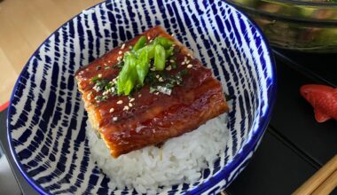 It’s not much, but my celebratory second meal at my new place- mini unagi don! :’3