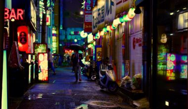 Tokyo alley in the hours before a Typhoon. October, 2019