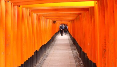 Just the great Fushimi Inari ⛩️ | Simplemente el magnífico Fushimi Inari ⛩️🥰